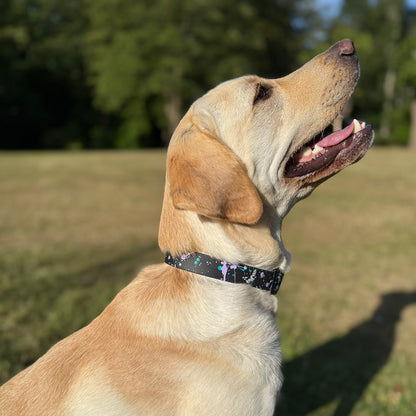 Summer Storm ⚡️ Waterproof Dog Collar