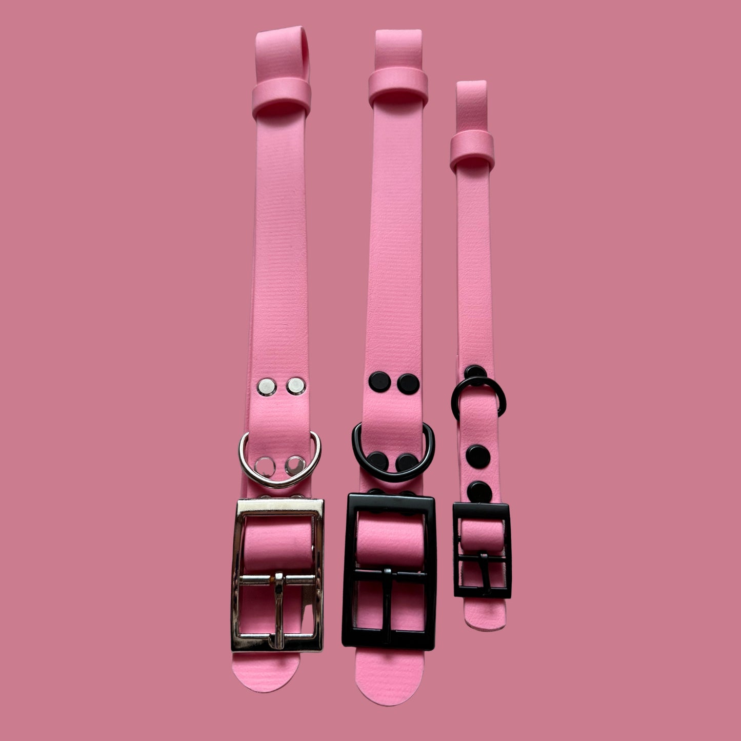 Barbie Pink Waterproof Dog Collar 🎀🌸