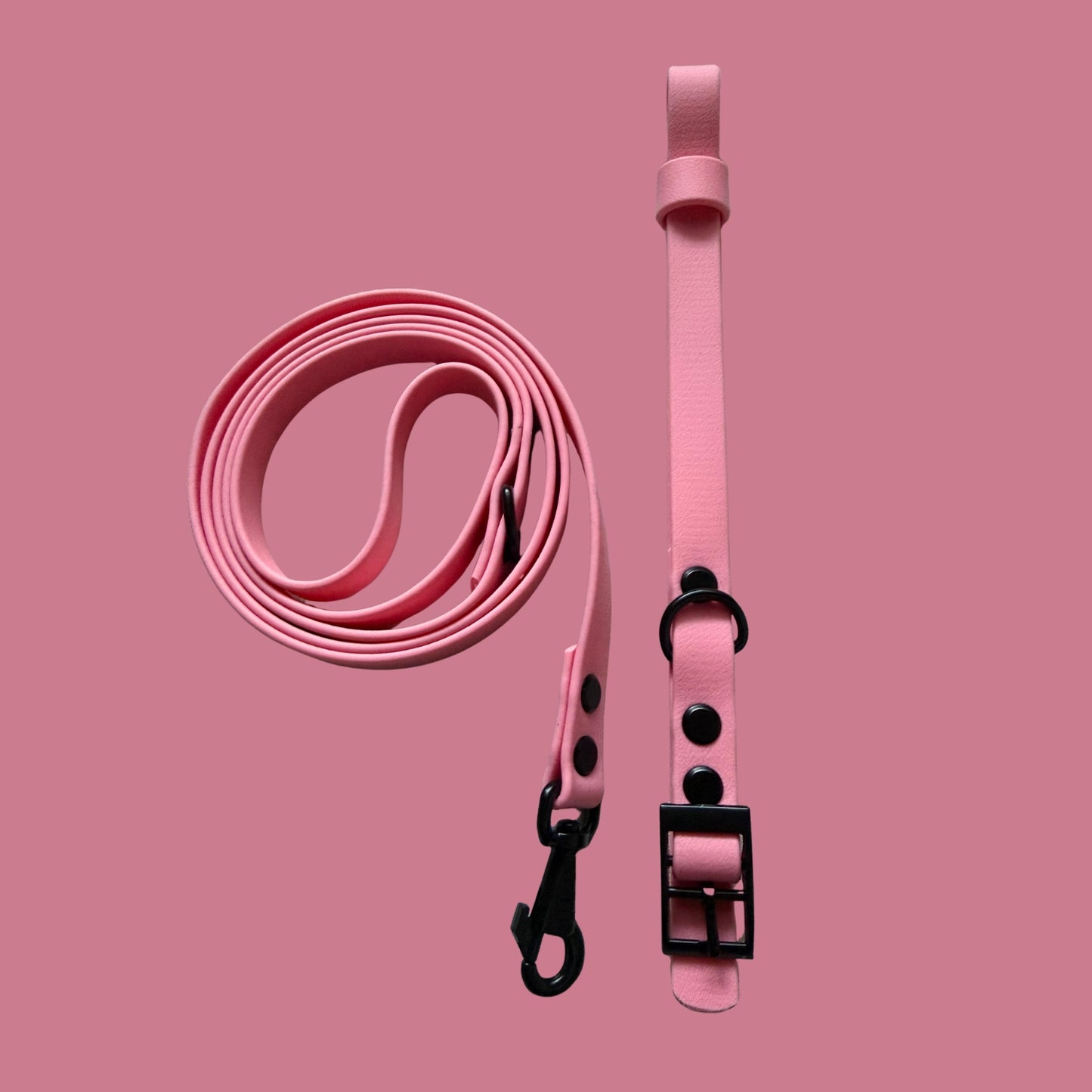 Barbie Pink Waterproof Dog Collar 🎀🌸