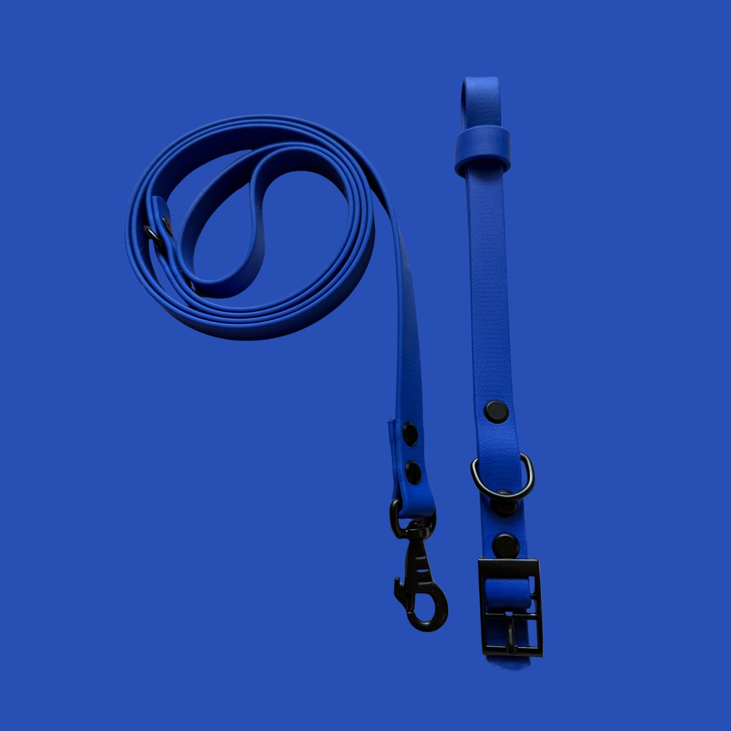 Ocean Blue Waterproof Dog Collar 🌊💙