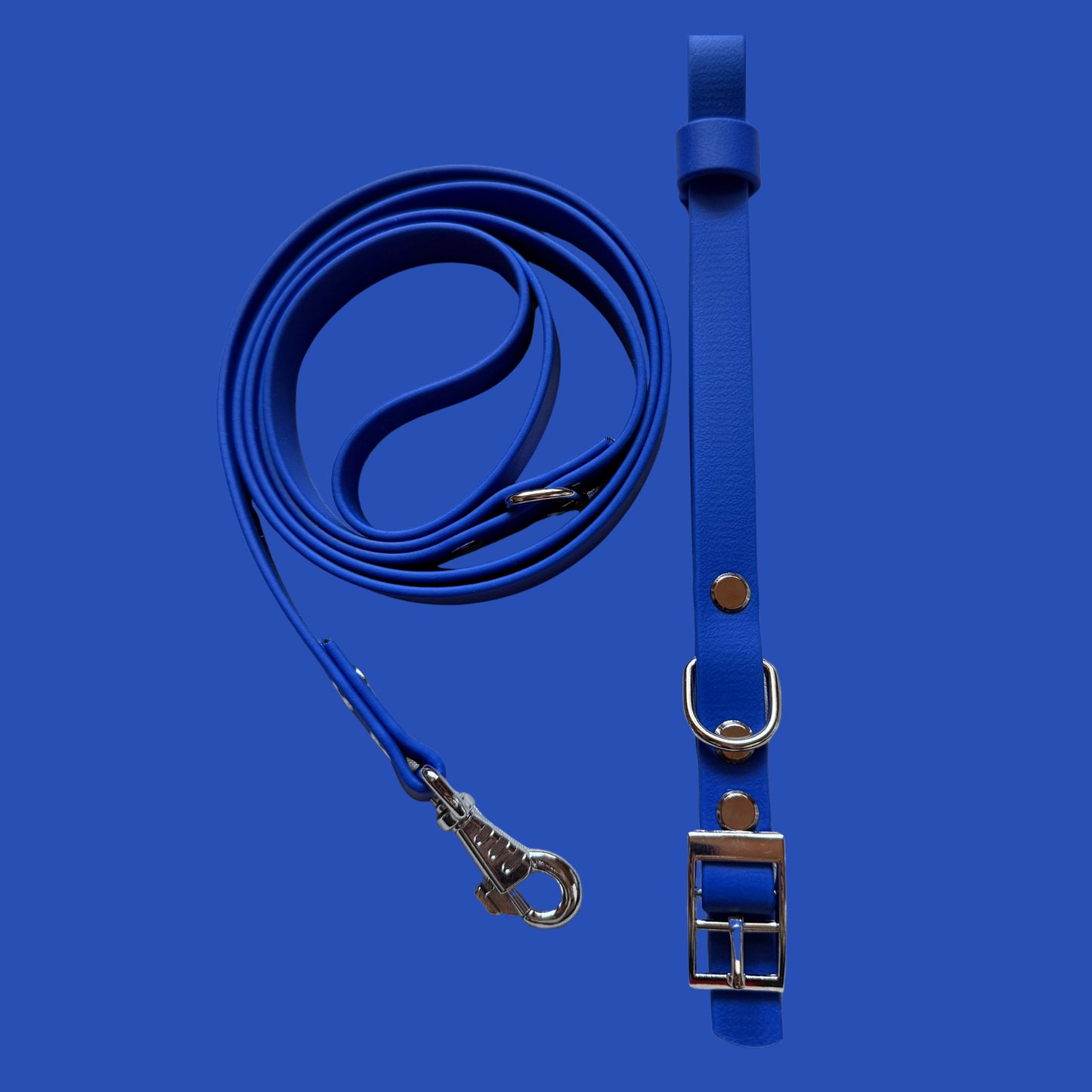Ocean Blue Waterproof Dog Collar 🌊💙