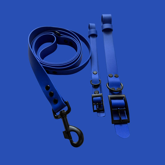 Ocean Blue Waterproof Dog Collar 🌊💙