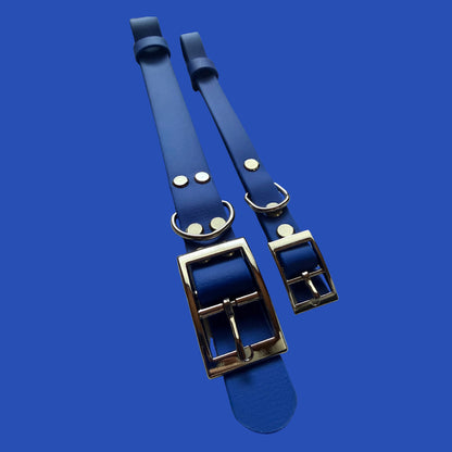 Ocean Blue Waterproof Dog Collar 🌊💙