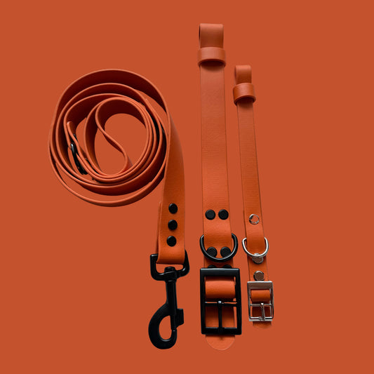 Fire Orange Waterproof Dog Collar 🔥🧡