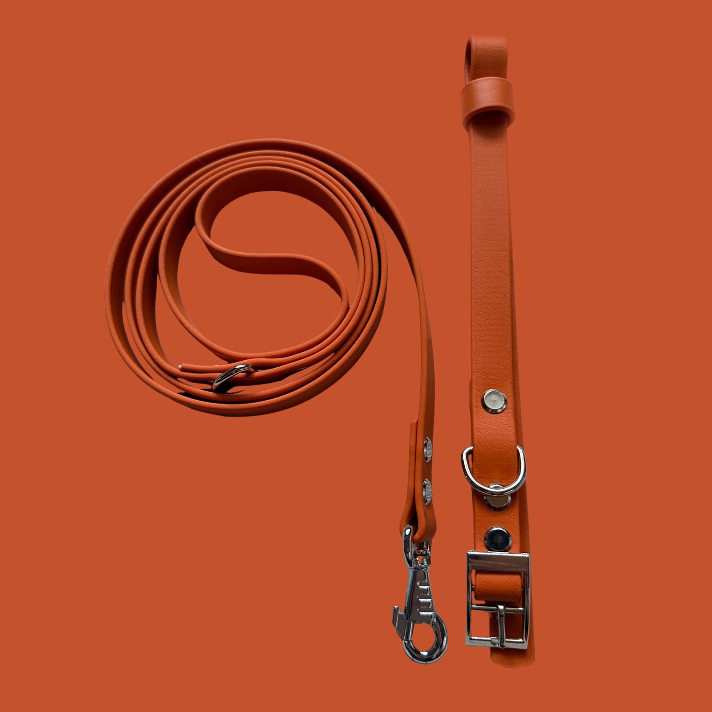 Fire Orange Waterproof Dog Collar 🔥🧡