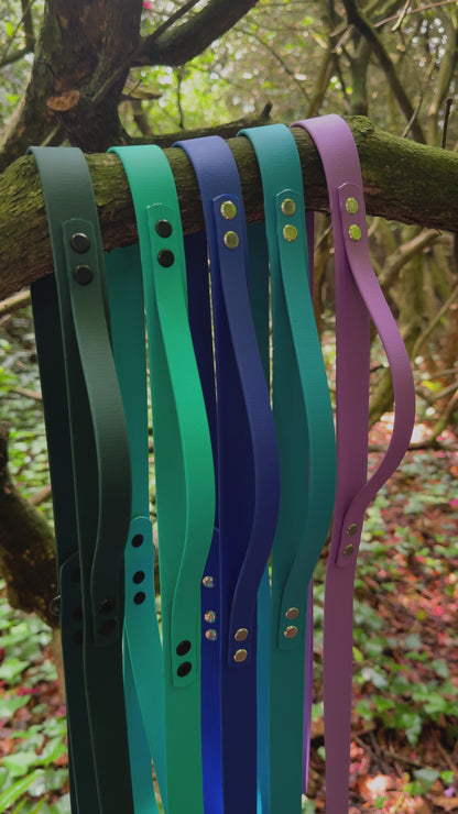 Customisable BioThane Lead 🐶
