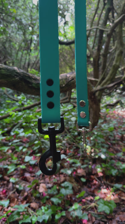 Teal Waterproof Lead