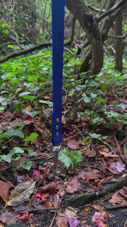 Ocean Blue Waterproof Lead