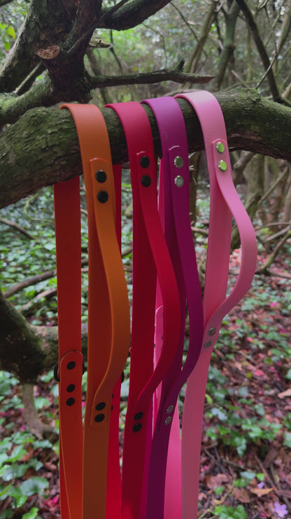 Customisable BioThane Lead 🐶