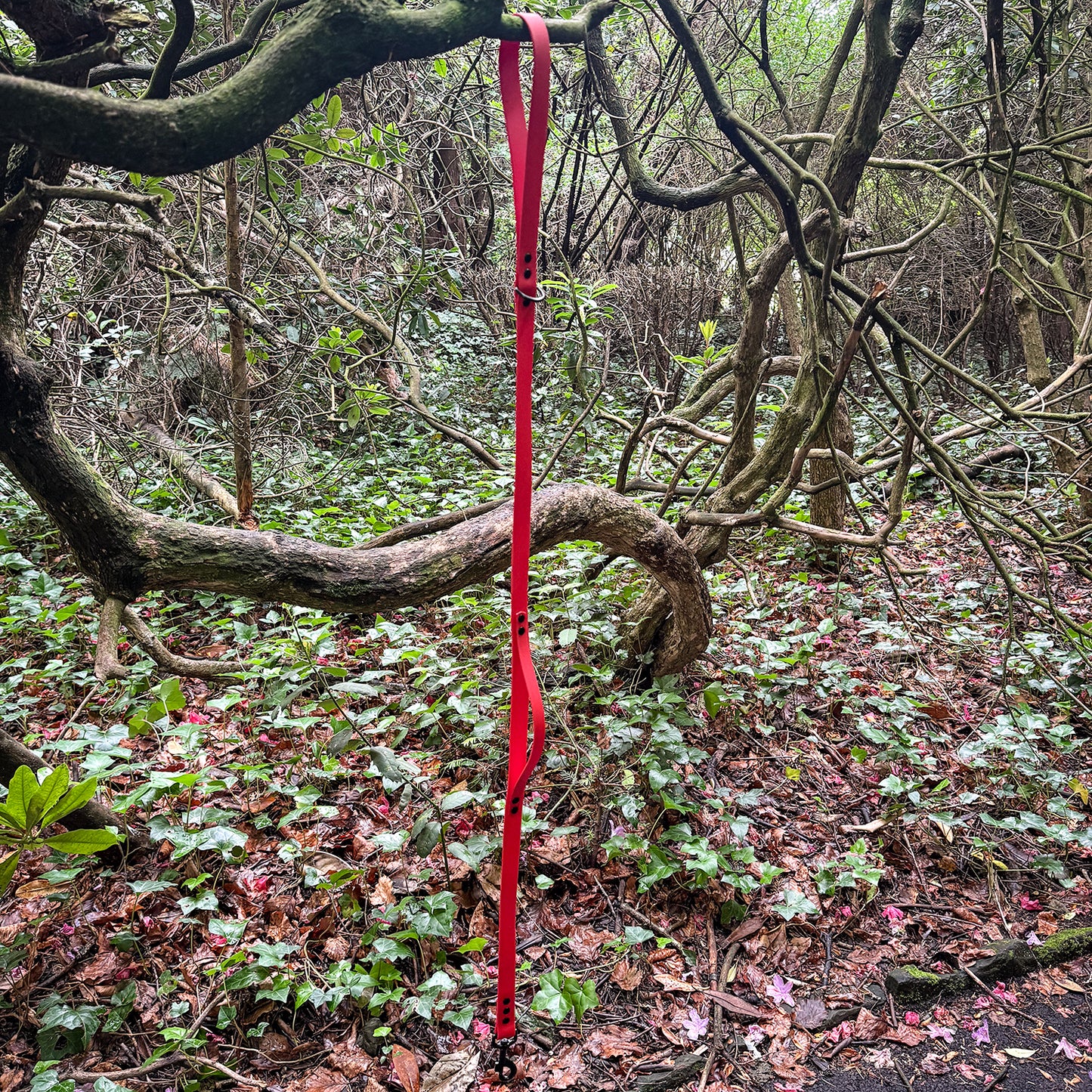 Red Waterproof Lead