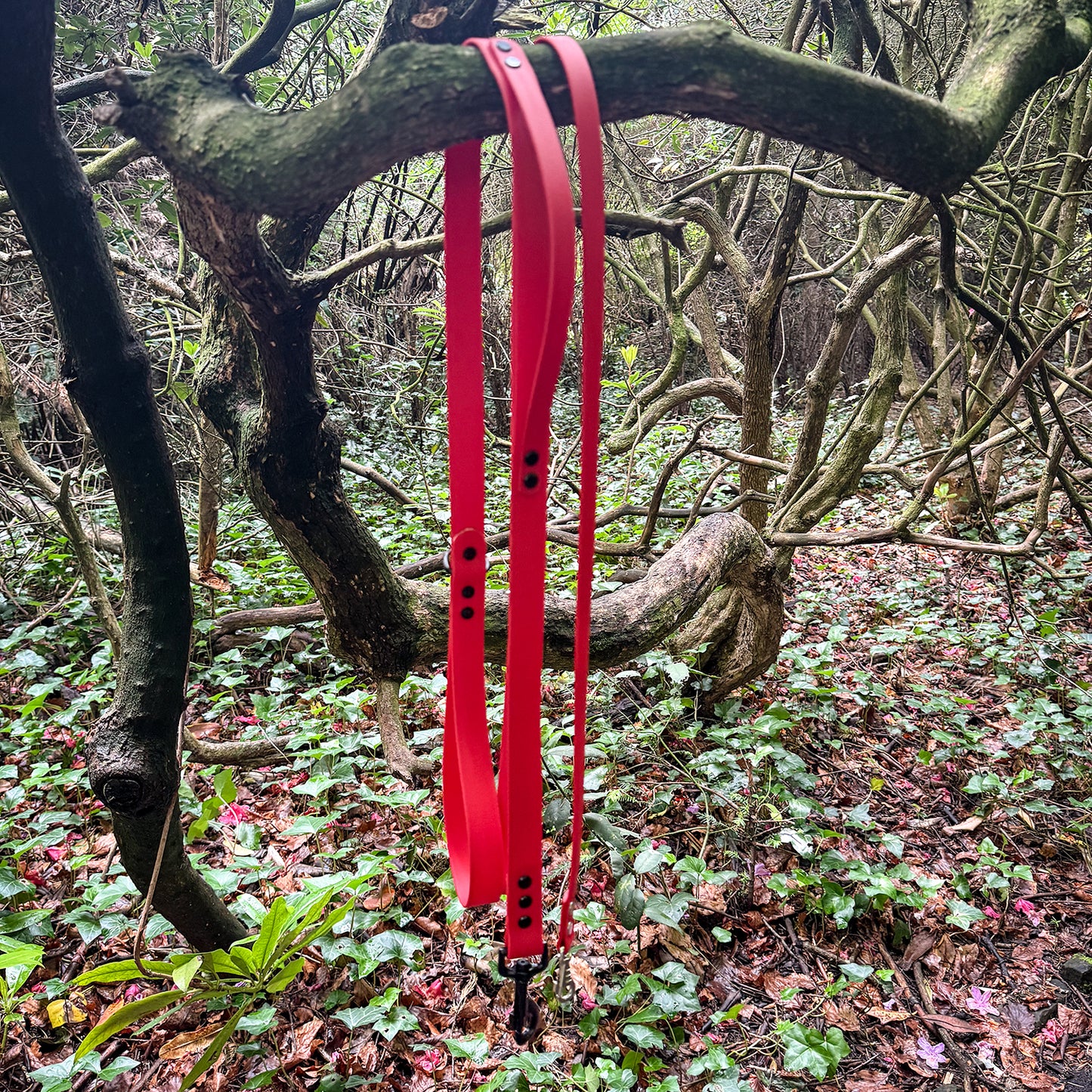 Red Waterproof Lead