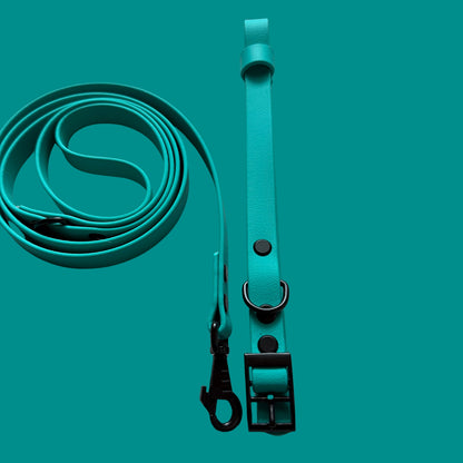 Teal Waterproof Dog Collar 🩵🟢