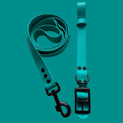 Teal Waterproof Dog Collar 🩵🟢