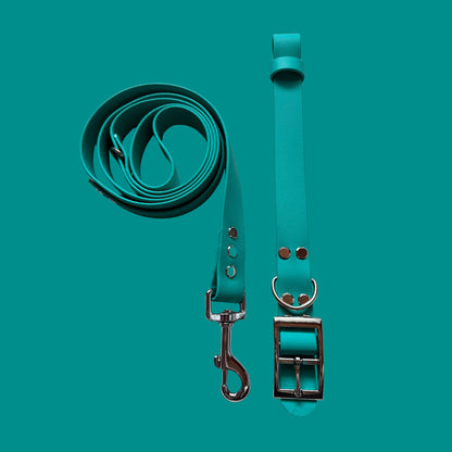 Teal Waterproof Dog Collar 🩵🟢