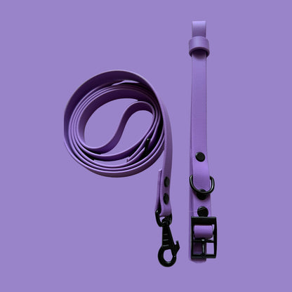 Violet Waterproof Dog Collar 💜✨