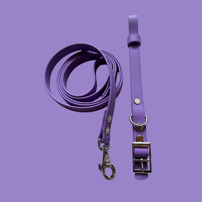 Violet Waterproof Dog Collar 💜✨