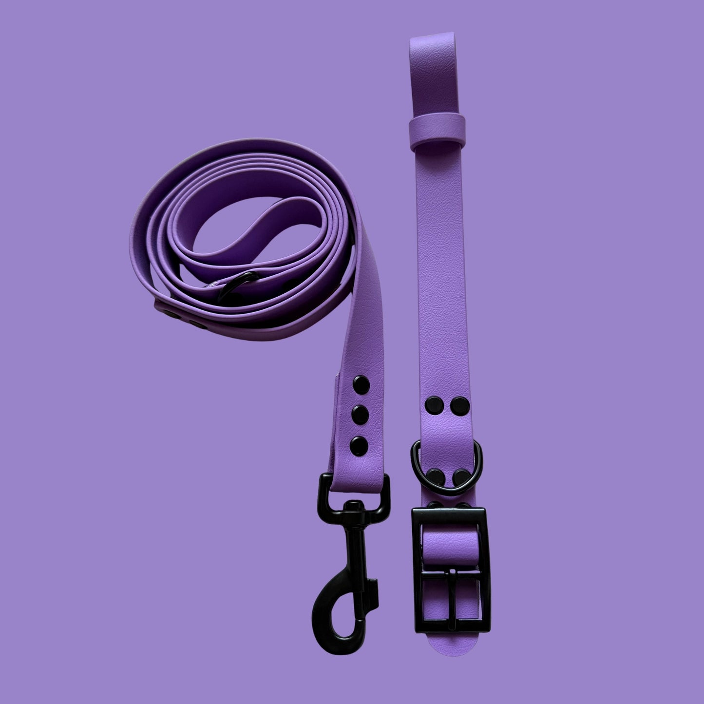 Violet Waterproof Dog Collar 💜✨