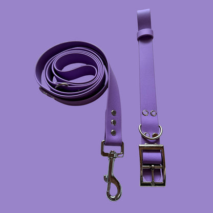 Violet Waterproof Dog Collar 💜✨
