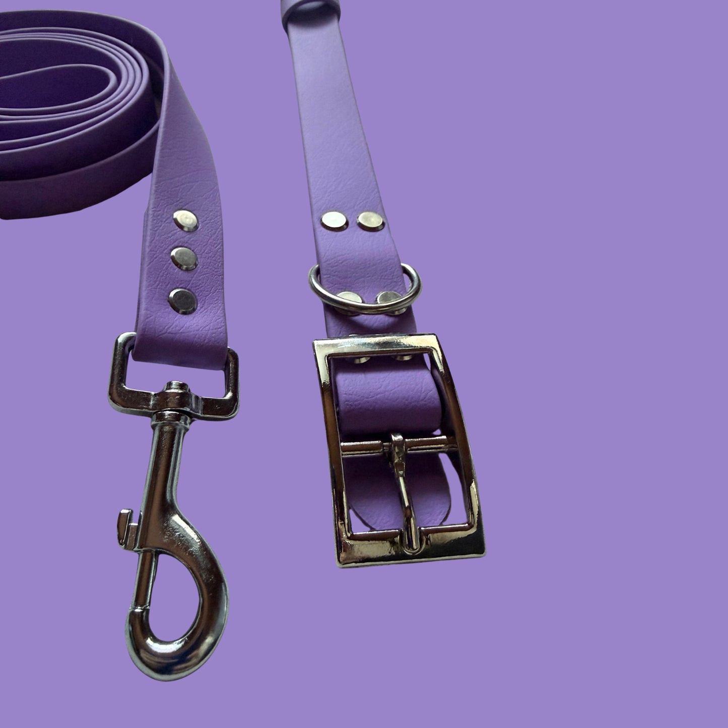 Violet Waterproof Dog Collar 💜✨