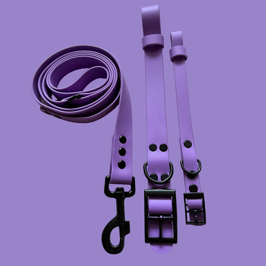 Violet Waterproof Dog Collar 💜✨