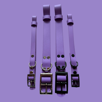 Violet Waterproof Dog Collar 💜✨