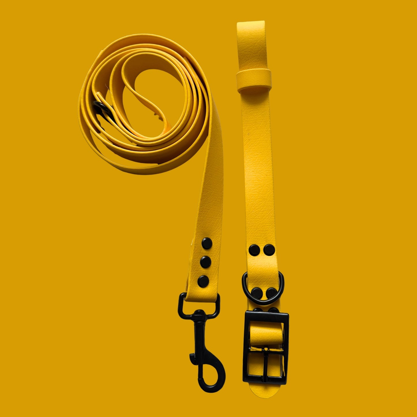 Yellow Waterproof Dog Collar ☀️
