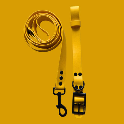 Yellow Waterproof Dog Collar ☀️