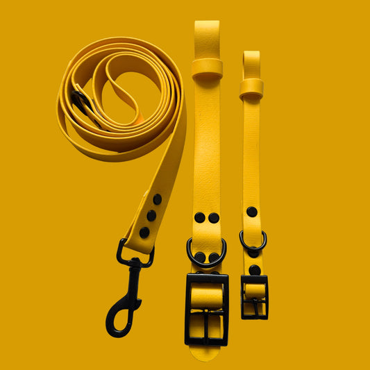 Yellow Waterproof Dog Collar ☀️