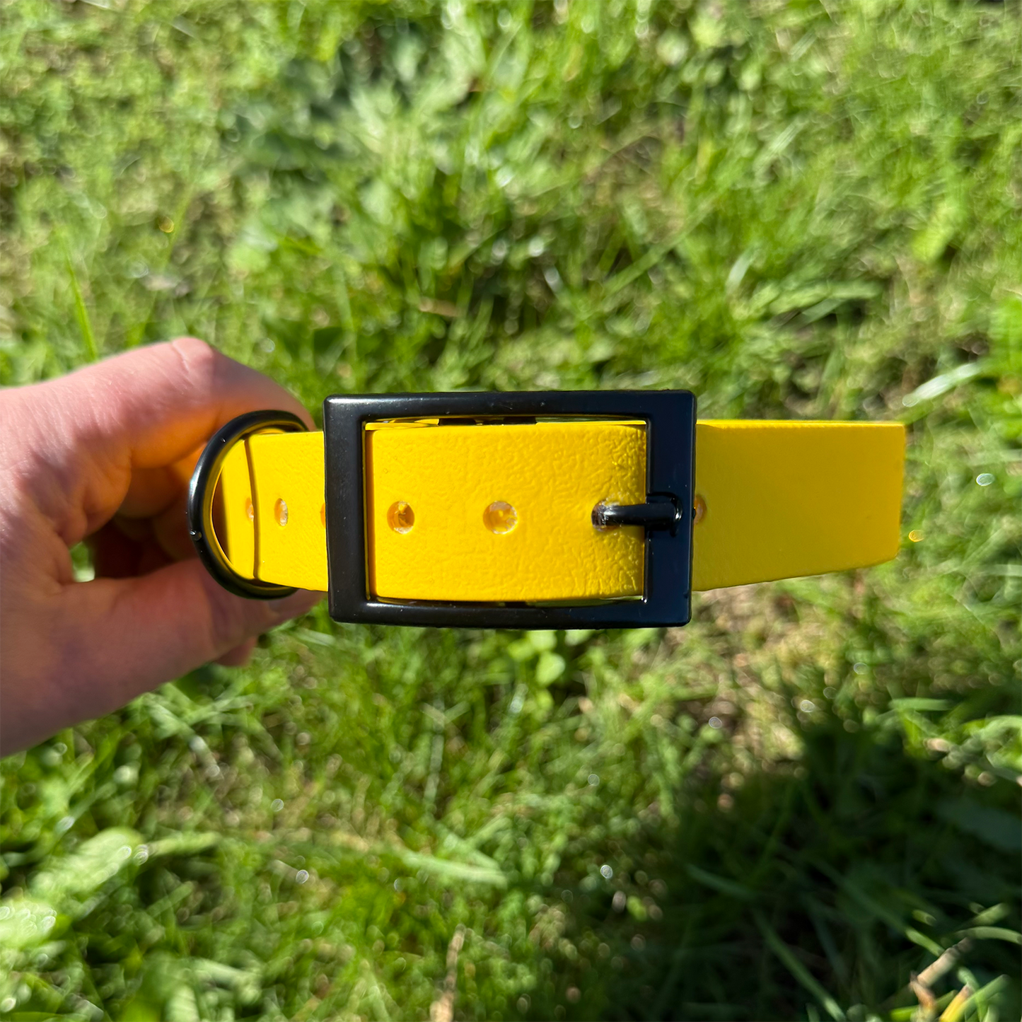 Yellow Waterproof Dog Collar ☀️